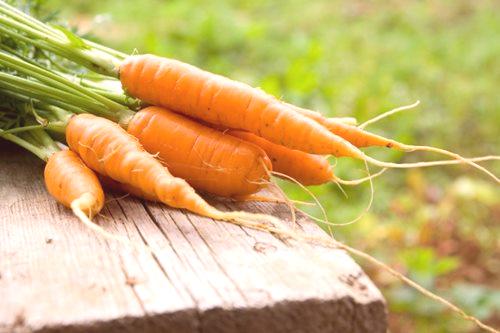 Какво да се хранят земята през есента под моркови