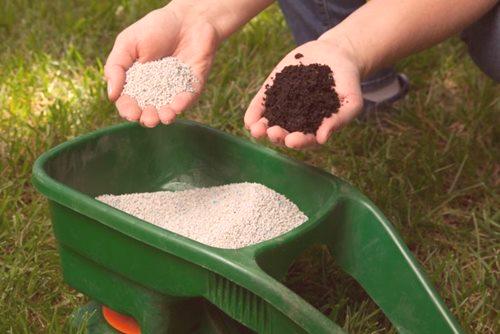 Lawn Fertilizer - Стъпка по стъпка ръководство за начинаещи градинари с снимка и описание