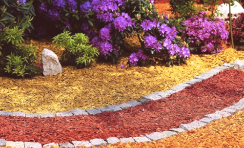 Možnosti uporabe dekorativnih čipov na vrtu