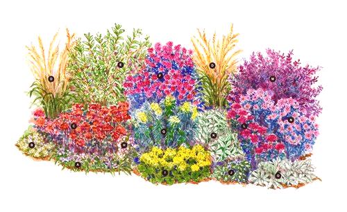 Устойчиви на суша растения на цветни лехи в градинския дизайн