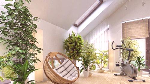 Цветя и растения в интериора на апартамента (77 снимки): ролята на изкуствени орхидеи в дизайна на стаята