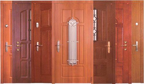 Kako odabrati ulazna vrata: metal, čelik, željezo u stan, kuću