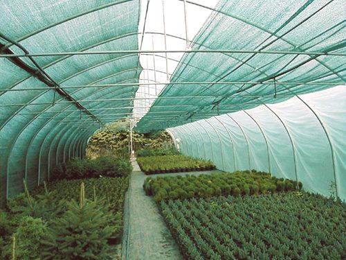 Озеленяване на мрежи за оранжерии: 5 съвета за избор