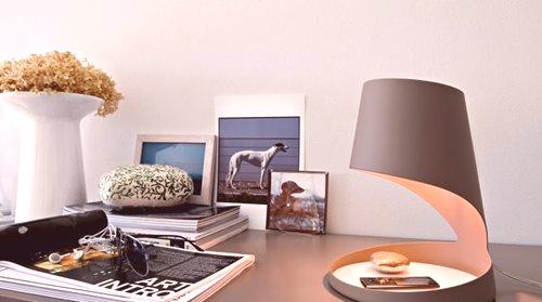 Дизајнерске столне лампе (29 слика): посебности модела којима се уклапају и гдје их ставити