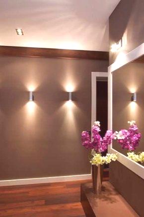Осветление в залата (77 снимки): какво да изберем лампи в коридора с опънати тавани и огледала, дизайнерски идеи