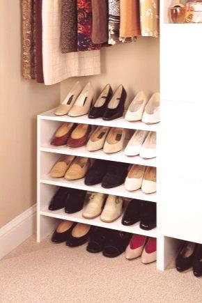 Шкафче за обувки в залата (52 снимки): тесен модел, рафт и рафтове за съхранение, лава и тави със страни, варианти в интериора