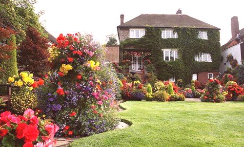 Декоративни храсти за вили и градини - фото преглед на красивите гледки
