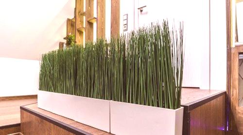 Umjetna trava u loncu - mogućnosti izbora (86 fotografija): visoka zelena trava za dekor, ukrasne biljke na zidu u unutrašnjosti