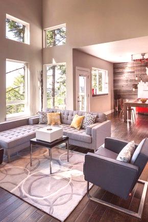 Ремонт на хола в частен дом (55 снимки): лечение на класически стил стая, как да се направи красив дизайн