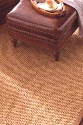 Рогожка (70 снимки): какво е това, белгийски постелки на пода, килим от Белгия в коридора