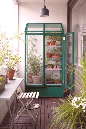 Toplogrednih za balkon: balkon mini-rastlinjaki z lastnimi rokami, sadike in rastlinjaki na 4 in 3 police, pregledi \ t