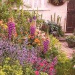 Okrasitev cvetličnih gred na dvorišču, nasveti in primeri