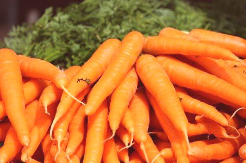 Морковите са устойчиви на моркови мухи