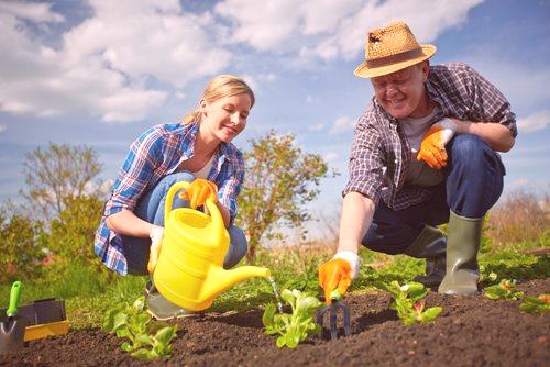 Vrtlarski kalendar za lipanj - saznajte što i kako to učiniti!