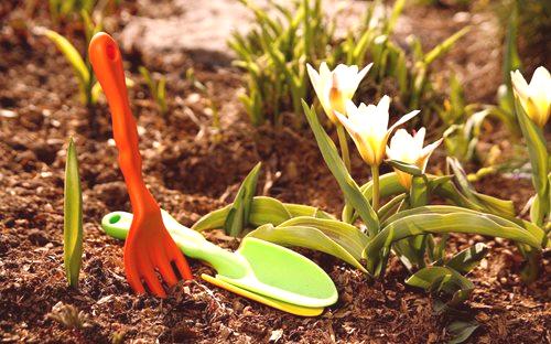 Koledar vrtnarja za april - Podrobne informacije in nasveti!