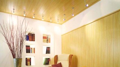 Plastični strop (82 slike): PVC folija i platno za obradu, dizajn dekorativnih figuriranih stropova za lođe i hodnik