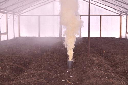 Preverjevalnik dima za rastlinjak: 3 vrste in pravila zdravljenja