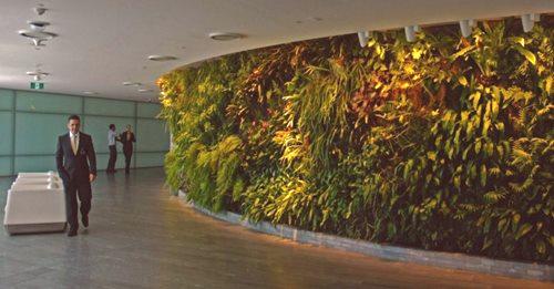 Вертикално озеленяване - снимка на най-добрите идеи за красив дизайн в имението