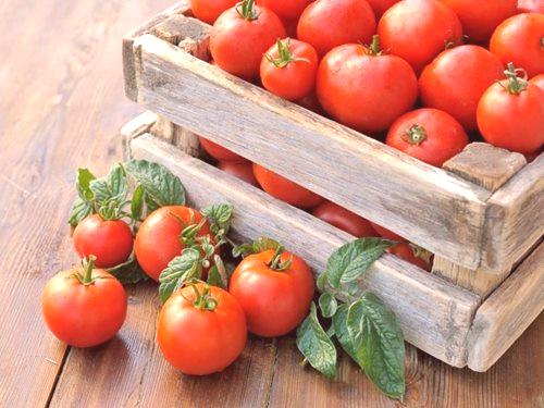 Отглеждане на доматен разсад у дома: подробни инструкции и съвети!