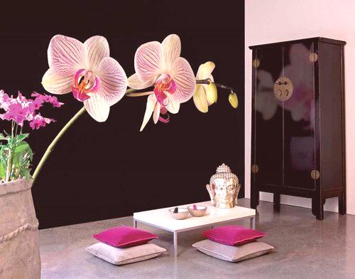Нежни тапети с орхидеи за стената - снимка и дизайн