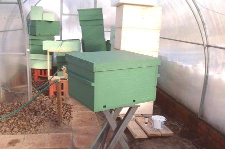 Zimovanje čebel v polikarbonatnih rastlinjakih: 5 pravil o zadržanju