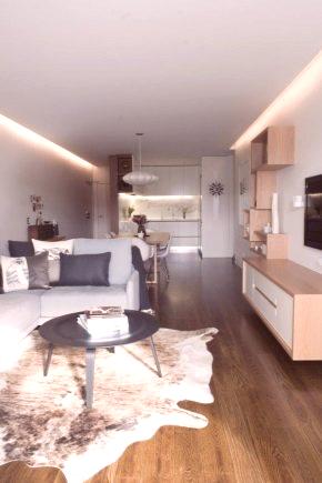 Препланиране на едностаен апартамент (59 снимки): проект за подреждане на едностайно студио в двустаен апартамент, примери и варианти за обработка на апартамент на малка площ