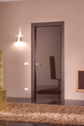 Sijajna notranja vrata (43 fotografij): brezglavi modeli, različice z lakom, primeri črnih in mlečnih barv vrat v notranjosti, pregledi