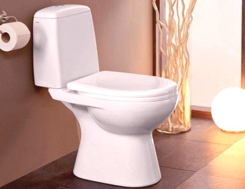 Как да изберем тоалетна и какво е по-добре: съвети и трикове ...