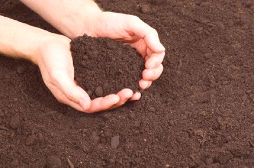 Параметри за добив: температура на почвата в оранжерията