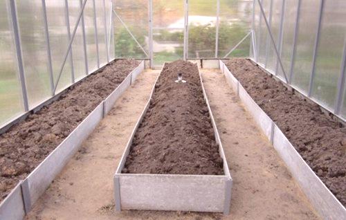 Kako urediti postelje v rastlinjaku: 3 najbolj primerne oblike
