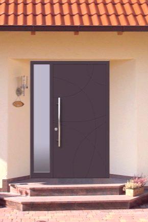 Čelična vrata (69 fotografija): kako izabrati ulazna vrata apartmana ter, čelični profil, ogledala s dizajnom, recenzije