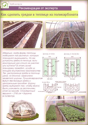 Kako narediti postelje v rastlinjaku iz polikarbonata - najboljše možnosti, navodila!