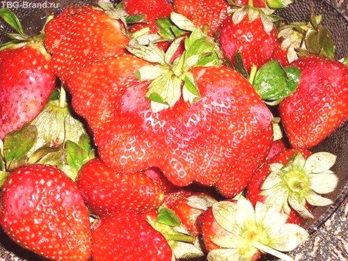 Подредете ягодите с неутрален ден