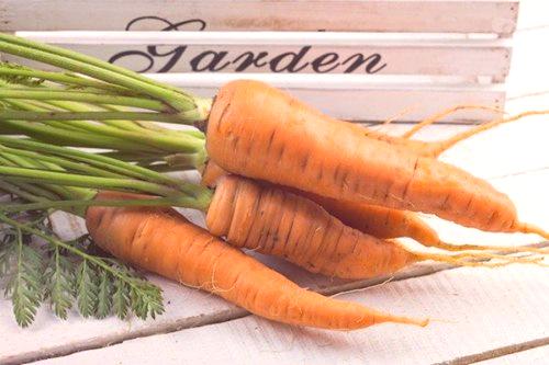 Как да се съхранява моркови у дома в апартамента