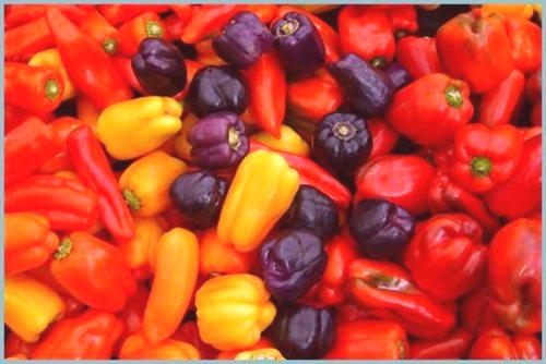 Priljubljene vrste paprike za rastlinjak: 7 vrst paprike