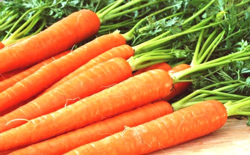 Как да расте голям морков в открития терен