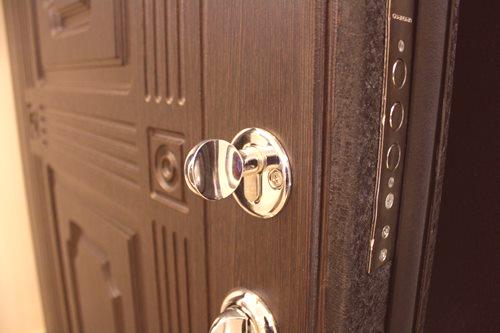 Стоманени входни врати: метални конструкции за монтаж в апартамент