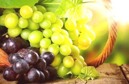 Kako shraniti grozdje doma