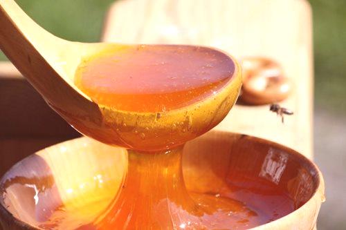Namakanje semen v medu