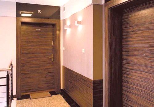 Улазна врата у апартман: бука, метални, челични, дрвени, критике