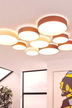 Кръгла светодиодна лампа (31 снимки): LED-модели с голям диаметър, плоски диодни вериги, димирееми с дистанционно управление