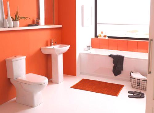 Kaj barve stene v kopalnici: izbira barve in orodja
