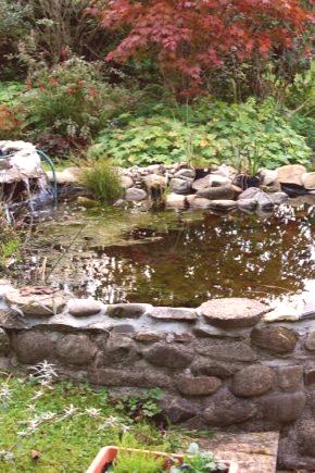 Езерото в страната със собствени ръце (95 снимки): как да се направи изкуствен резервоар на парцела, идеята за ландшафтен дизайн и красиви примери в градината близо до вилата
