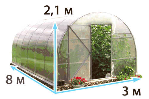 Оптимални размери на оранжерии от поликарбонат и 5 условия за правилния избор