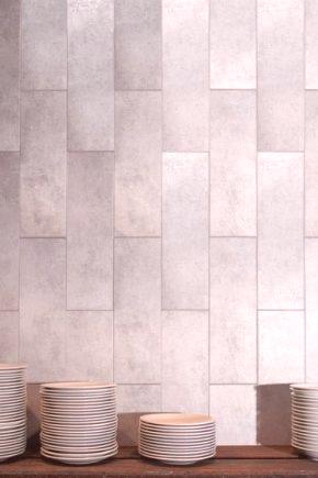 Ploščice za beton: keramični stenski izdelki v notranjosti, vrste in tekstura ploščic