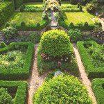 Английска градина в страната със собствените си ръце