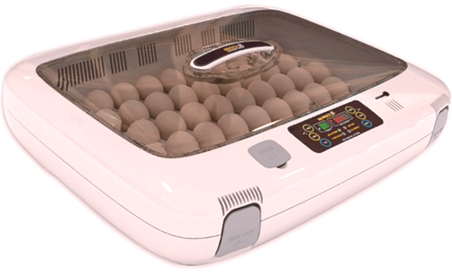 Gdje kupiti i kako odabrati inkubator