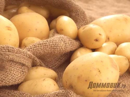Тор за картофи при засаждане