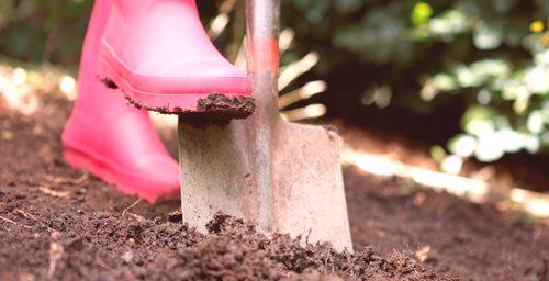 Какво да оплоди земята през есента за копаене