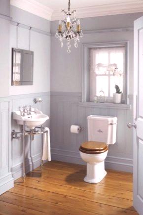Врата у купатилу (70 фотографија): дизајн који се ставља у тоалет, стакло и модели отпорни на влагу, стандардне величине у ширини